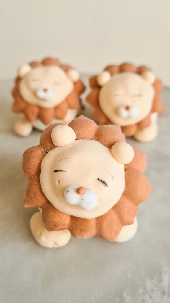 Portfoolio laste magustoit vahupallid