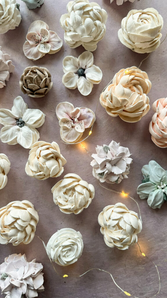 Sefiirililled ja eritordid Tallinnas sefiirilillede Tallinnas