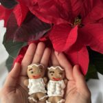 Kingi - ja magusalaua ideed Sinu jõulupühadeks Kingi - ja magusalaua ideed Sinu jõulupühadeks